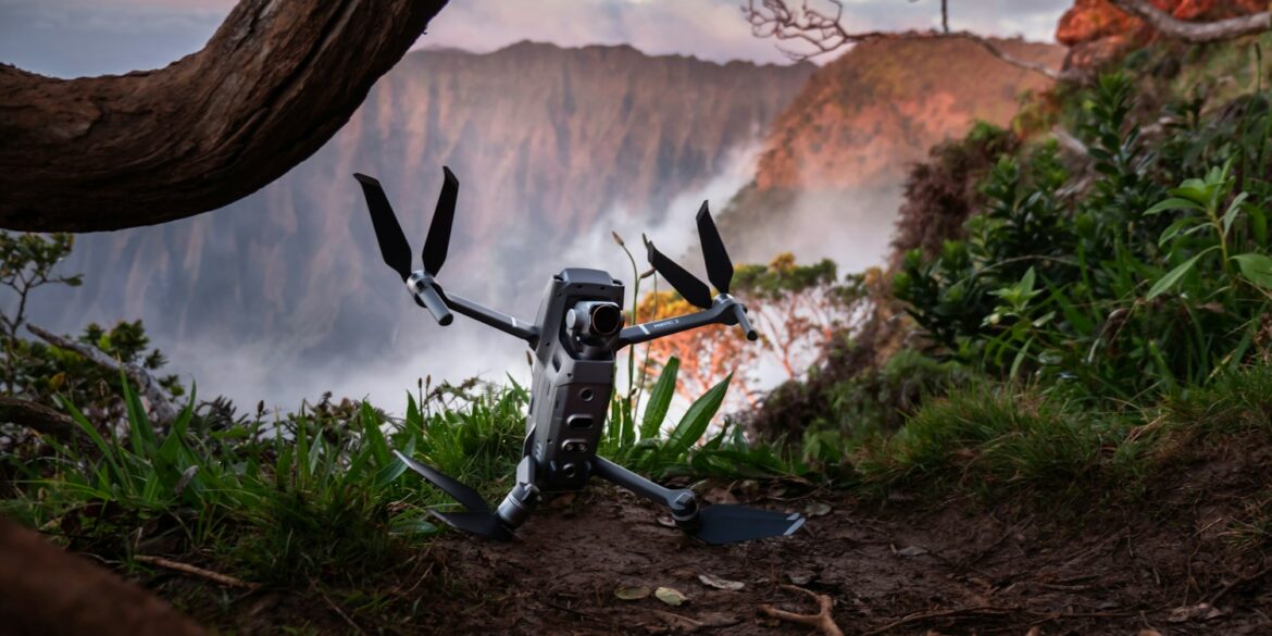 gray and black drone near tree roots