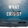 What crisis – digital creative 09 25 2024 07 30 pm