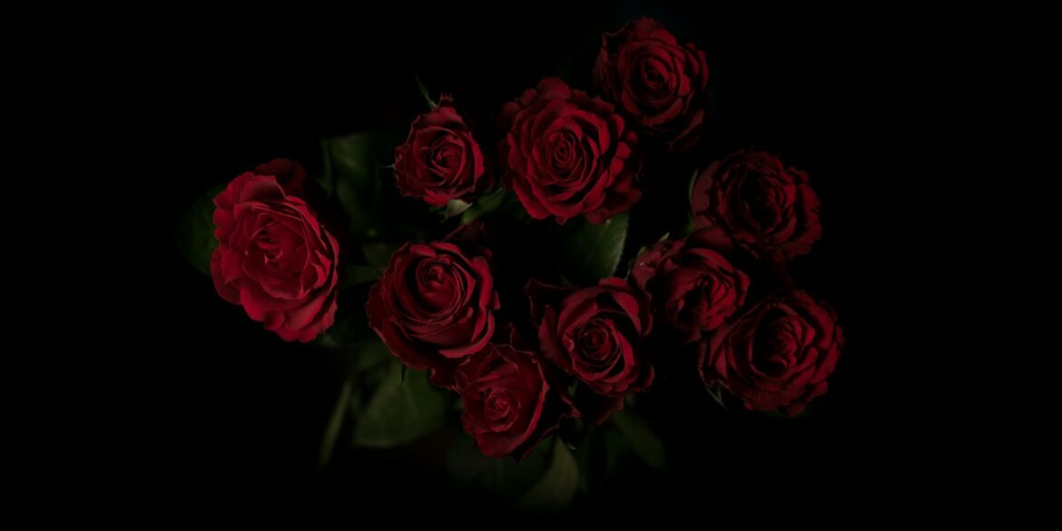 red roses flower arrangement
