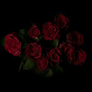 red roses flower arrangement