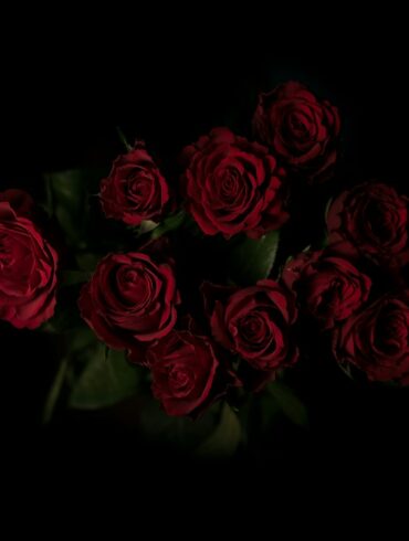 red roses flower arrangement