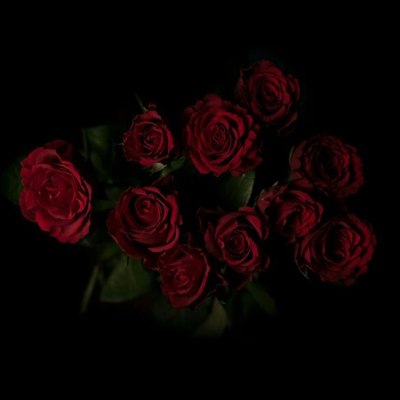 red roses flower arrangement