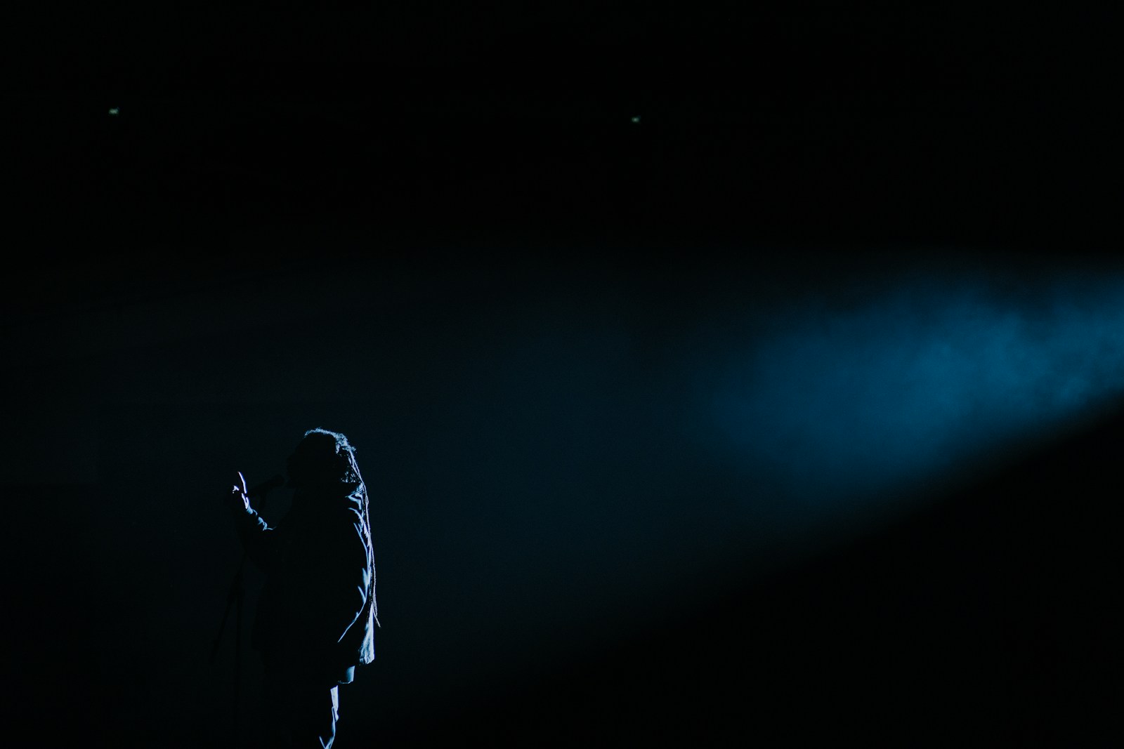 silhouette photography of person standing