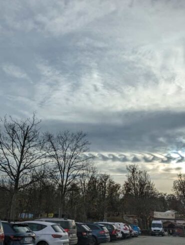 218afff6 9523 4f8a b06d 07c1848991ee