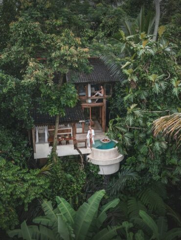 a small house in the middle of a forest