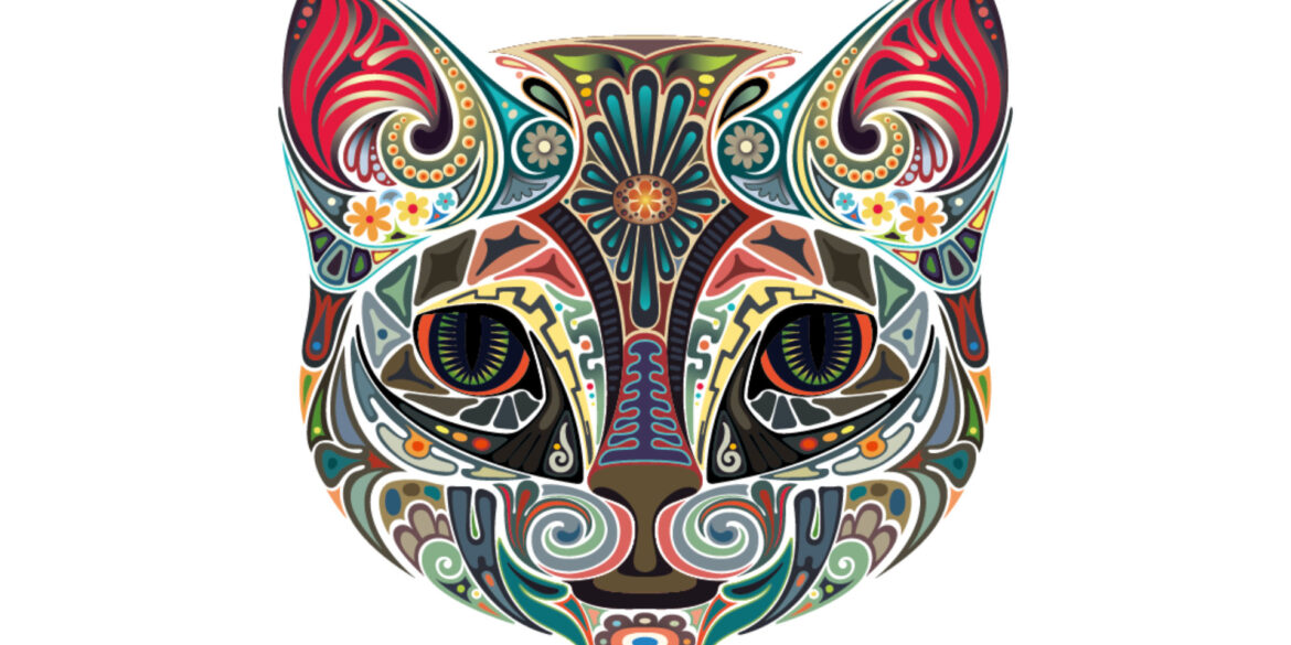 Cat 1920x1080