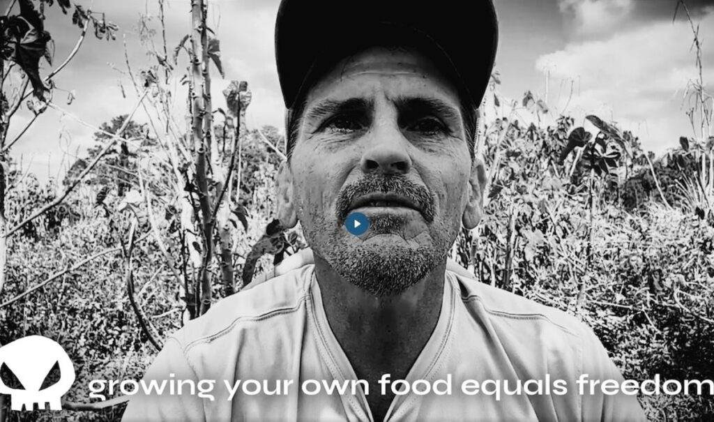 Growing your own food is a winning idea ukcolumn 1200