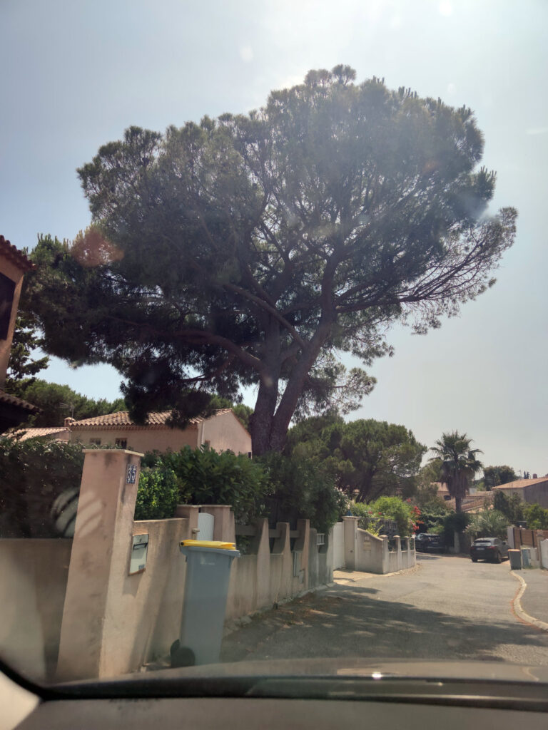 Italy france