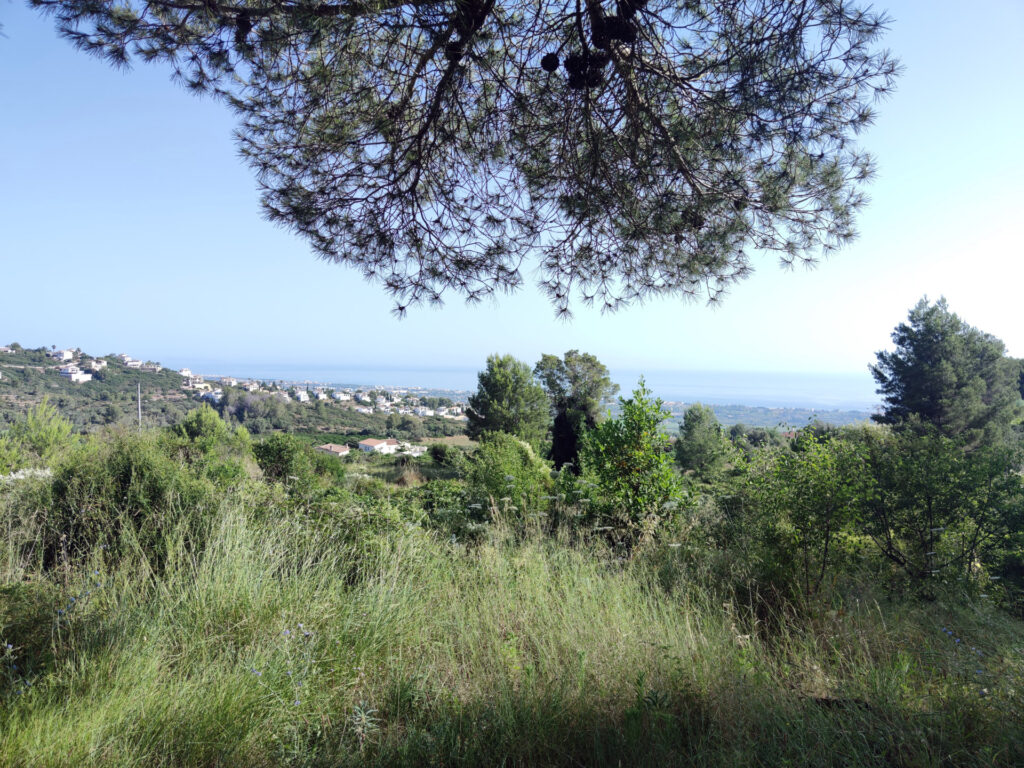 Spain denia