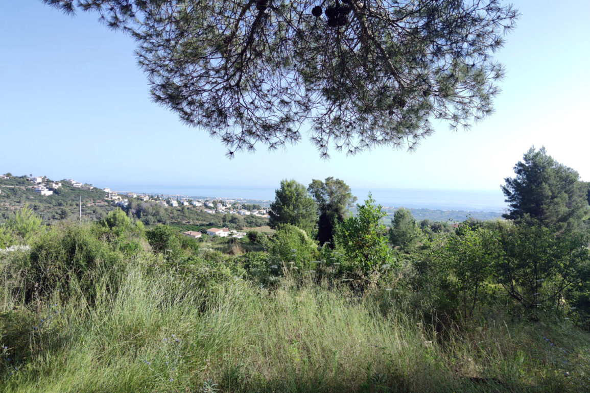 Spain denia