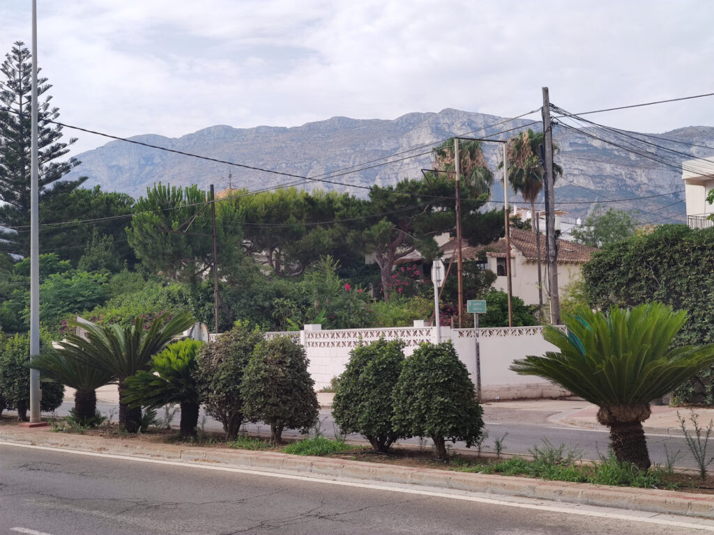 Spain denia downtown10
