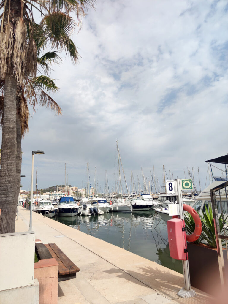 Spain denia downtown14