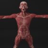 A man with his arms out and hands out