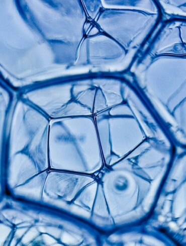 closeup photography of water bubbles