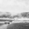 people walking on beach during daytime