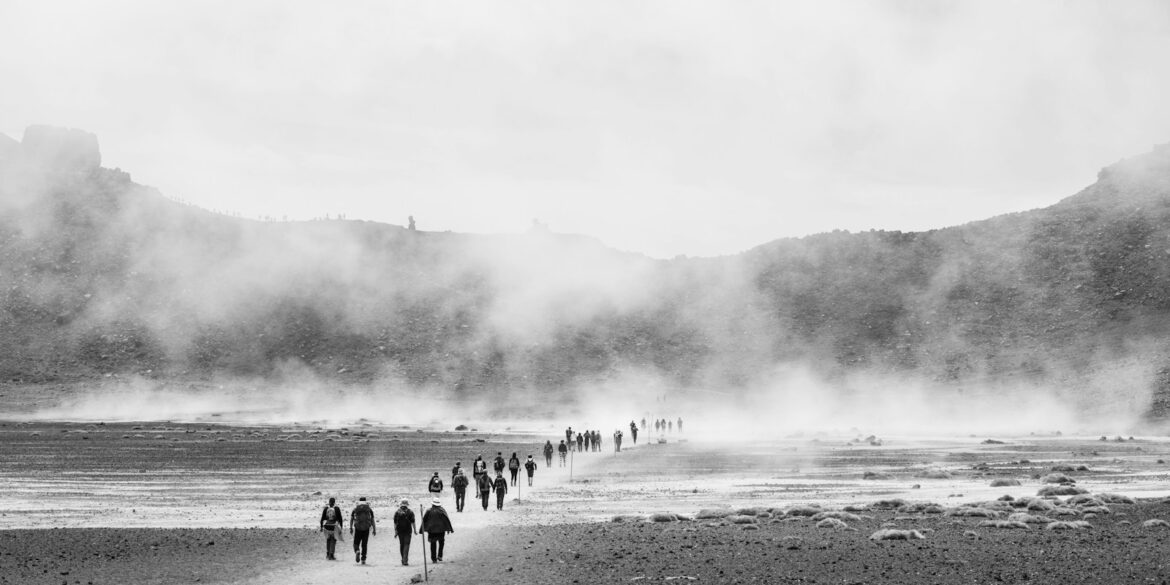 people walking on beach during daytime