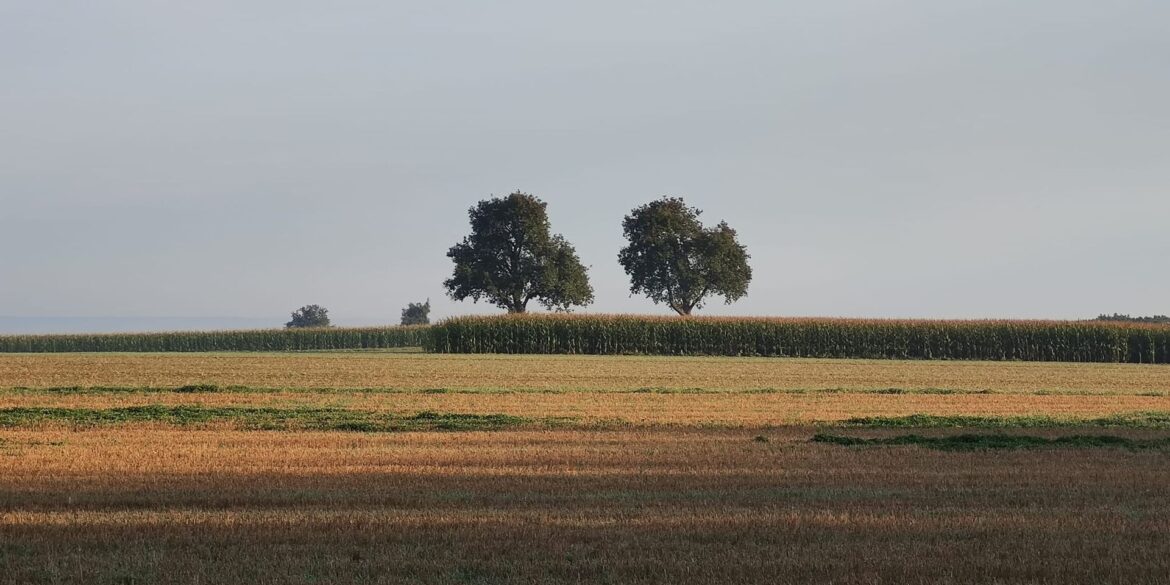 Land of freedom 1440