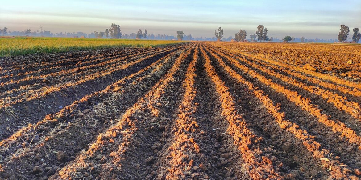 a plowed field in the middle of a rural area