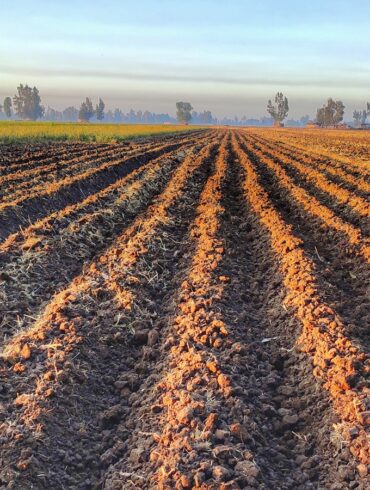 a plowed field in the middle of a rural area