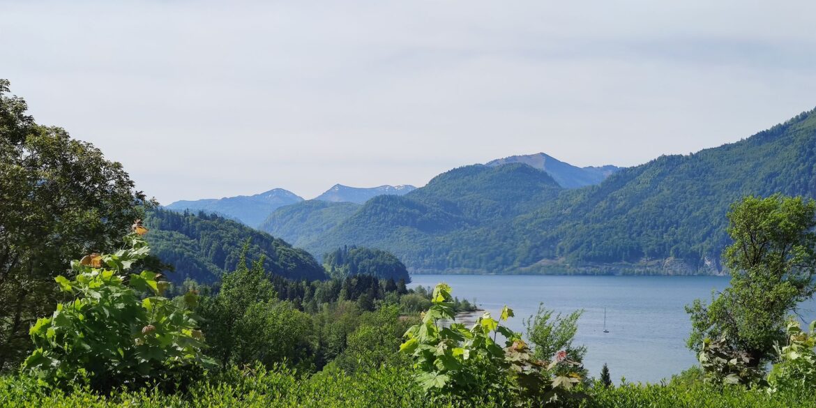 IMG 20260510