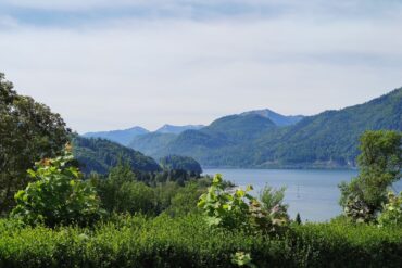 IMG 20260510