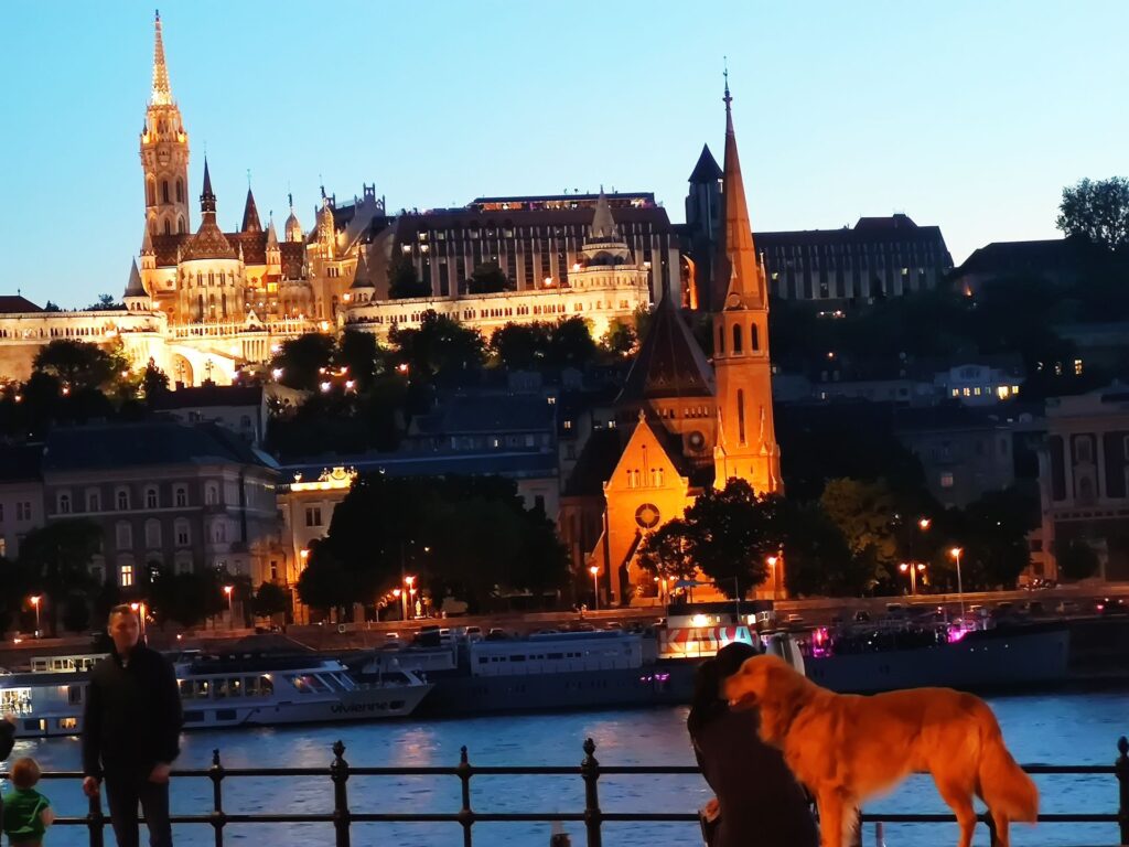 IMG 20260513