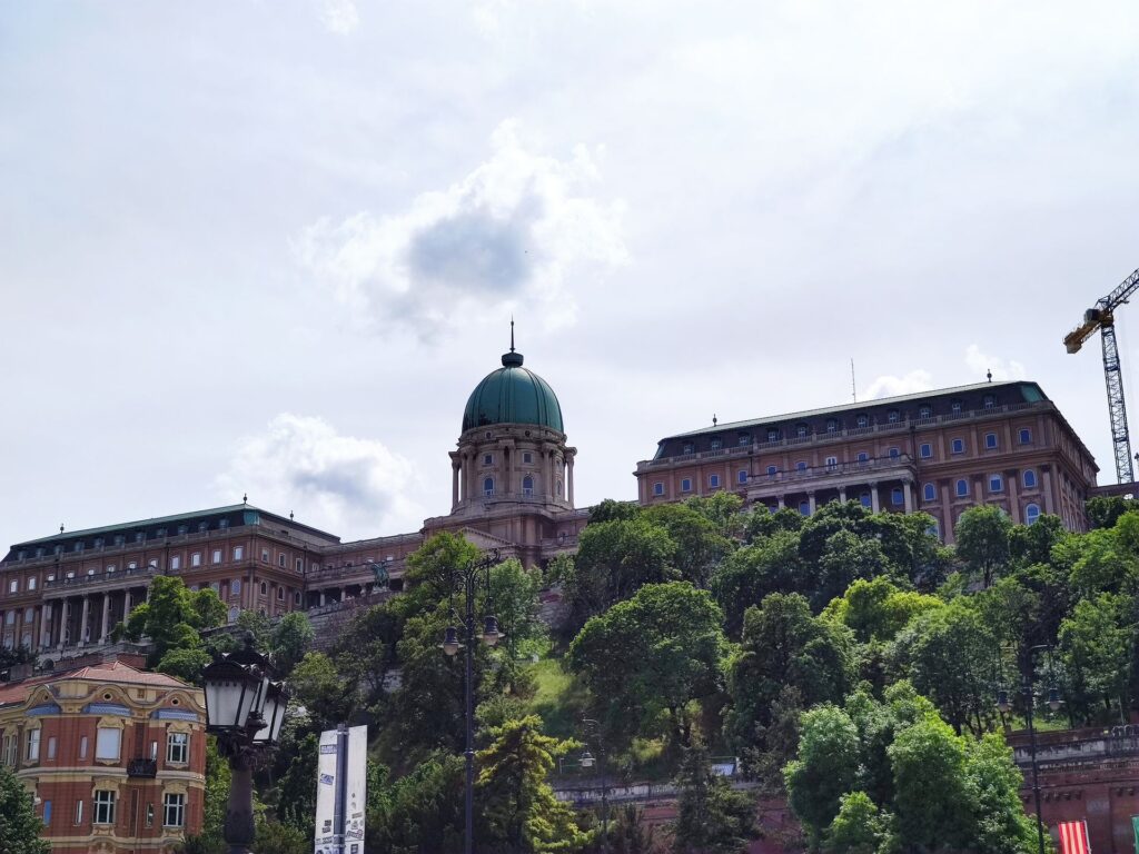 IMG 20260515