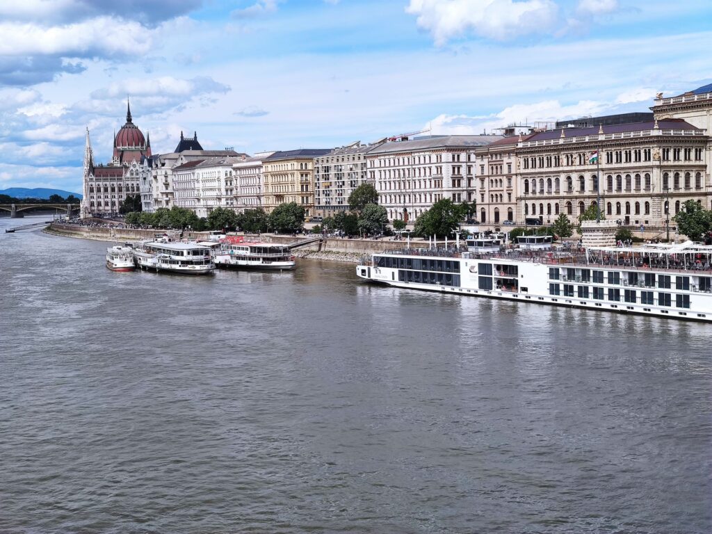 IMG 20260515