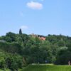 IMG 20260525 1431