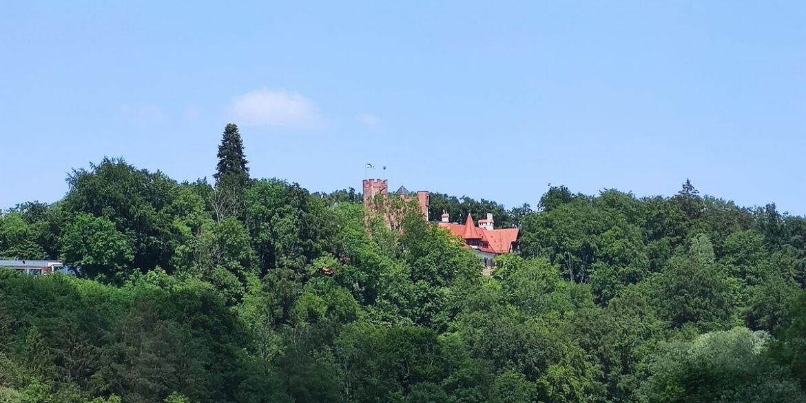 IMG 20260525 1431