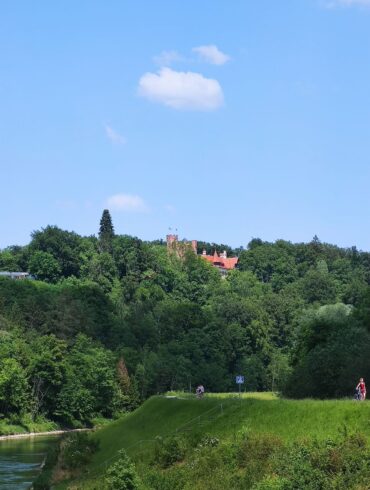 IMG 20260525 1431