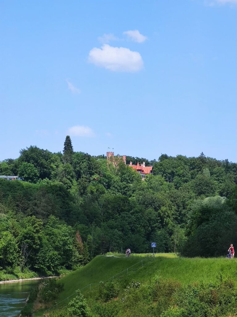 IMG 20260525 1431