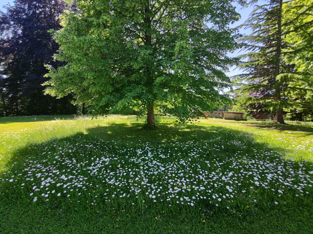 IMG 20260529