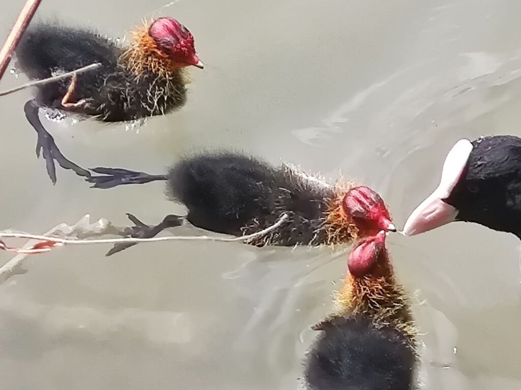 Photo 2026 05 03 15 53