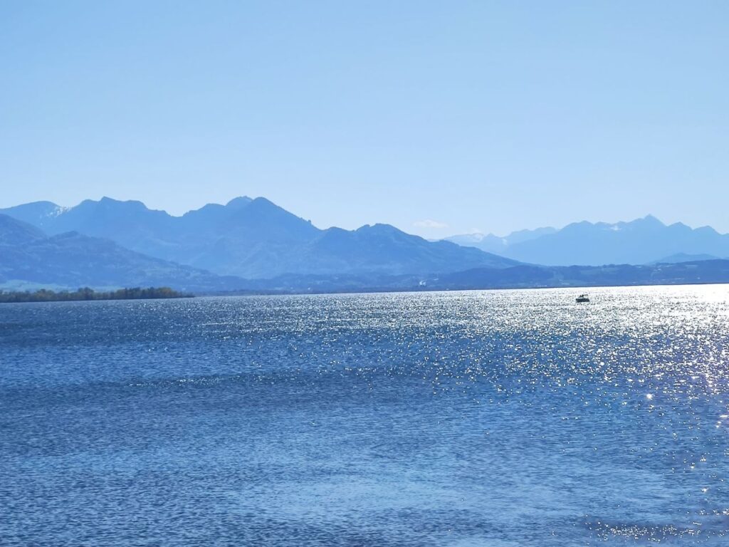 Photo 2026 05 03 15 54