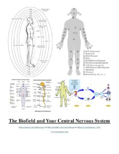 Psyenergy Biofield cns