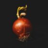 red onion on black background