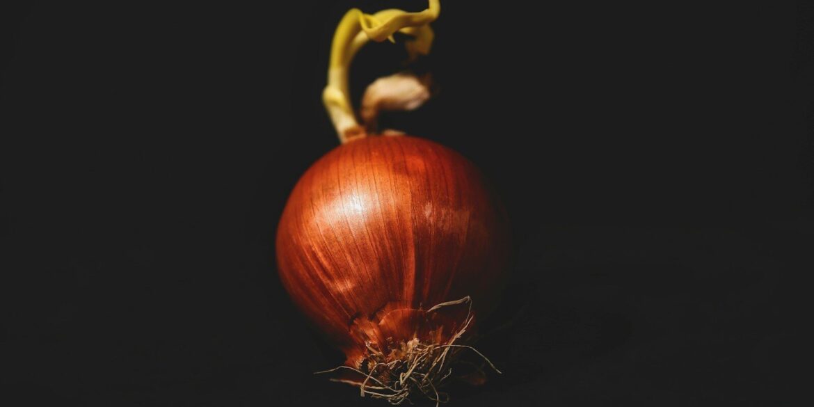red onion on black background