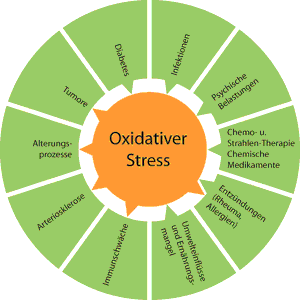 grafik oxidativer stress