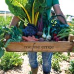 Meine Ernte