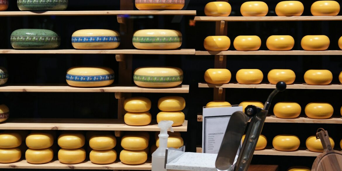 a display of cheese on shelves in a store