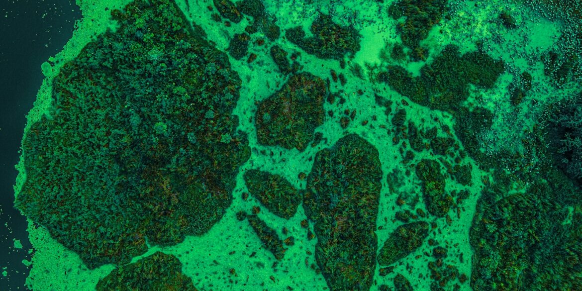 an aerial view of a body of water covered in green algae